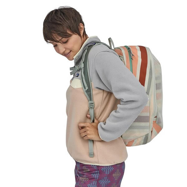 Patagonia planing divider pack sale