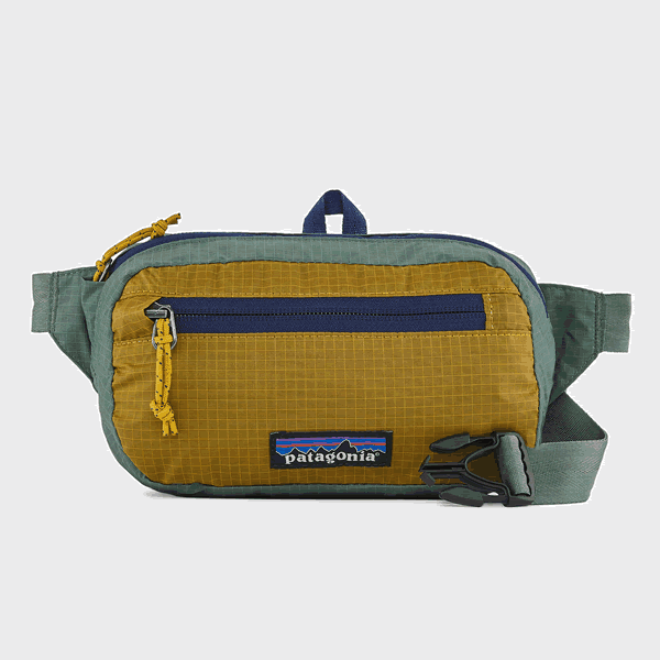 Patagonia sales bum bag